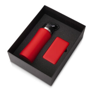 Подарочный набор «COLOR IT» с бутылкой для воды и повербанком