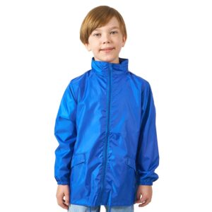 синий классический