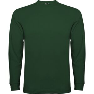 бутылочный зеленый