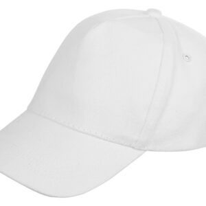 Бейсболка «Florida 350»