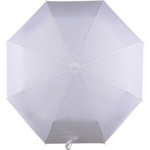 Зонт складной «Сторм-Лейк»