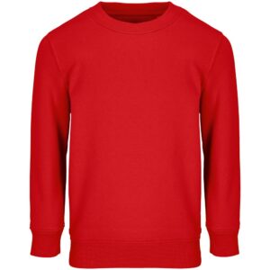 Свитшот детский Columbia Kids, красный