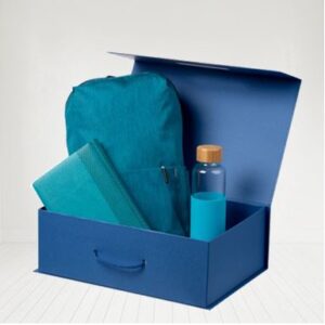 Подарочный набор Mi Casual Daypack