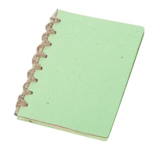 зеленое яблоко