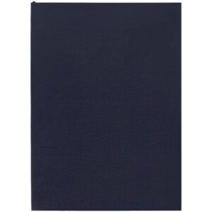 Ежедневник Flat Light, недатированный, иссиня-черный
